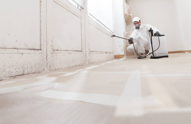 24/7 Emergency Basement Mold Remediation experts in Highland Park, PA